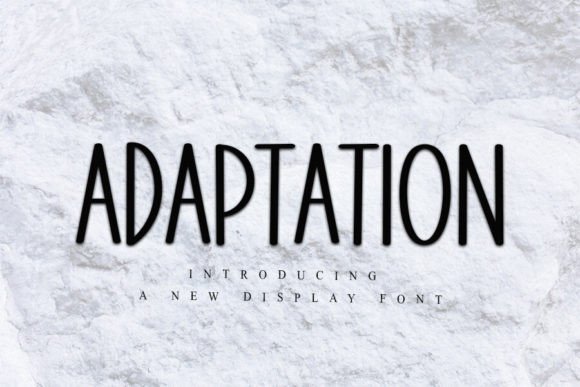 Adaptation: A Versatile Display Font for Crafters and Product Designers
